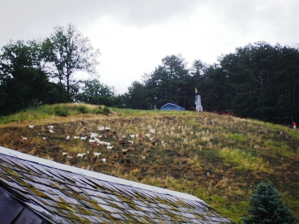 Ardennen Adeps wandeling Vierves-sur-Viroin