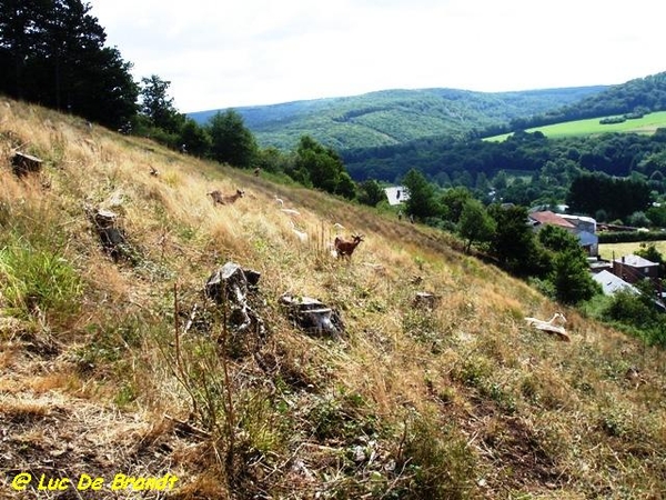 Ardennen Adeps wandeling Vierves-sur-Viroin