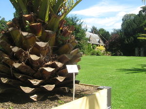 tuinzicht
