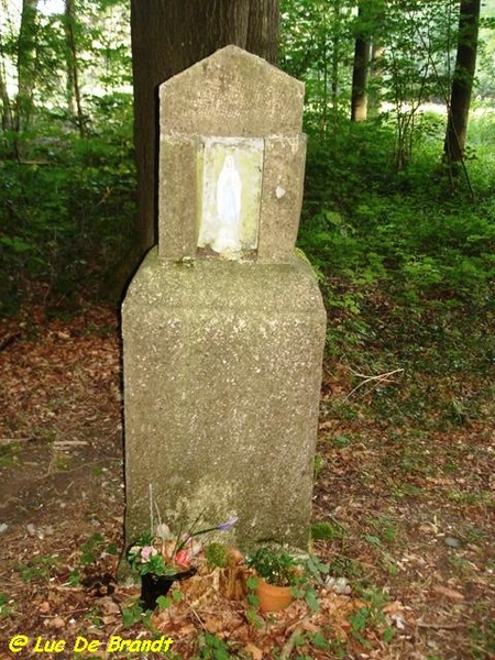 Ardennen Adeps wandeling Dene