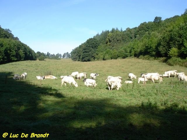 Ardennen Adeps wandeling Dene