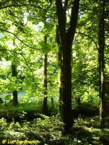 Ardennen Adeps wandeling Dene