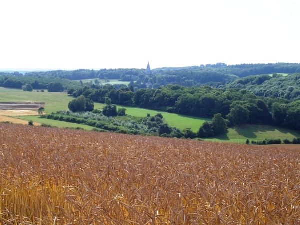 Ardennen Adeps wandeling Dene