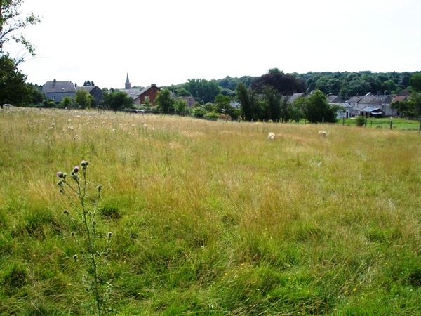 Ardennen Adeps wandeling Dene