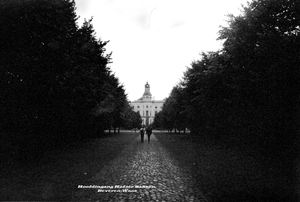 Hof ter Saksen te Beveren-Waas