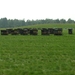Bijenkasten op de heide te Limburg