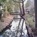 tn_Afbeelding 074