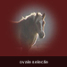 Paard-1