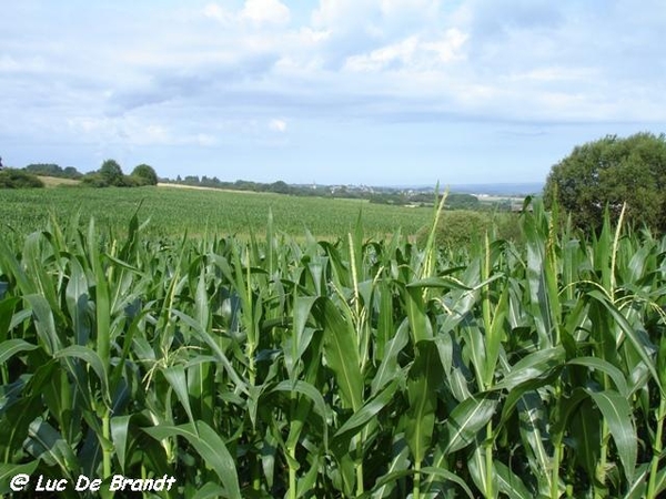 Ardennen  wandeling Beauraing