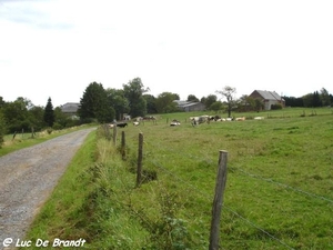 2009_08_03 Beauraing 13 Wancennes