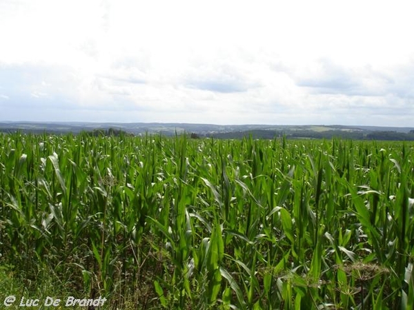 Ardennen  wandeling Beauraing