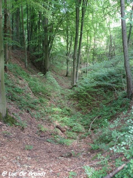 Ardennen  wandeling Dourbes