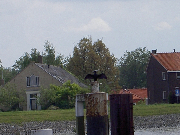 test2005-05-22 Papendrecht 160