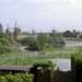 test2005-05-22 Papendrecht 199