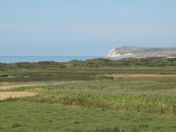 sizedDSC00380
