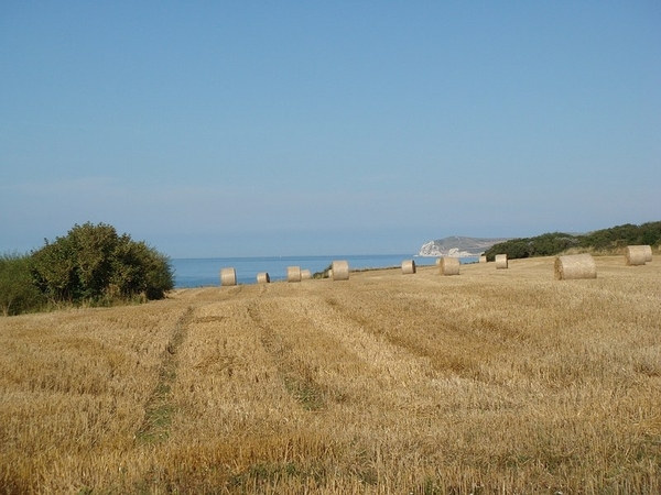 sizedDSC00382