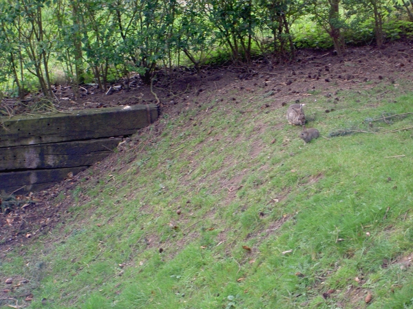 2007-04-01 Engeland 1 125