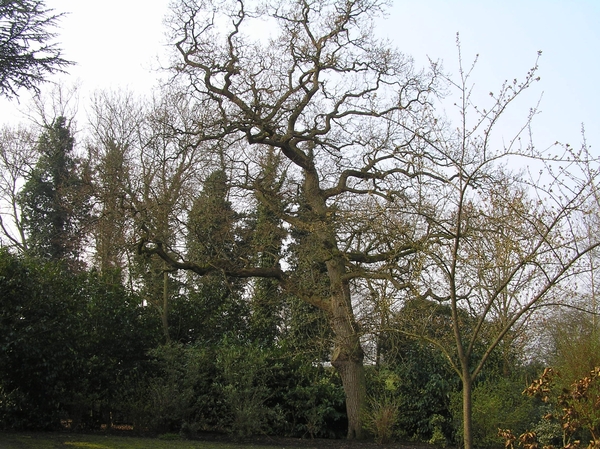 2007-04-01 Engeland D 097