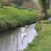 2007-04-01 Engeland D 102