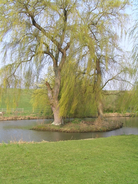 2007-04-01 Engeland D 103