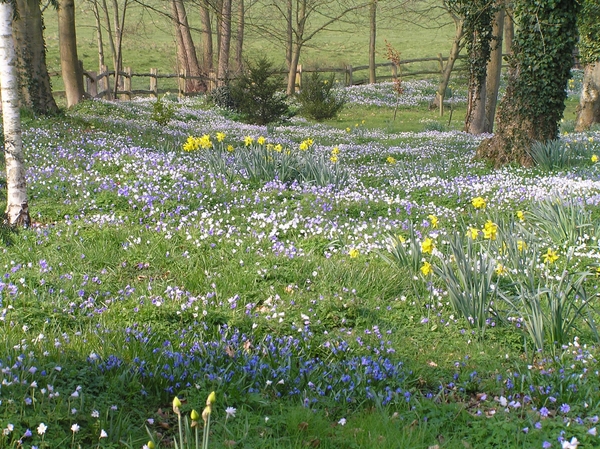 2007-04-01 Engeland D 105
