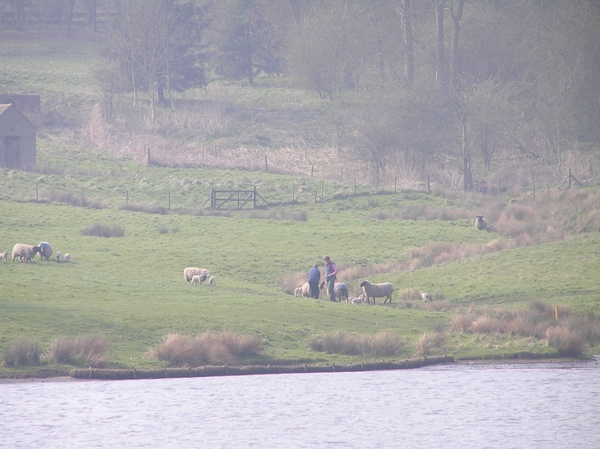 2007-04-01 Engeland D 109