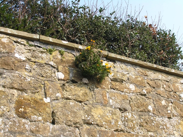 2007-04-01 Engeland D 113