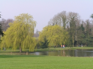 2007-04-01 Engeland D 119