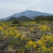 5 Etna _panorama