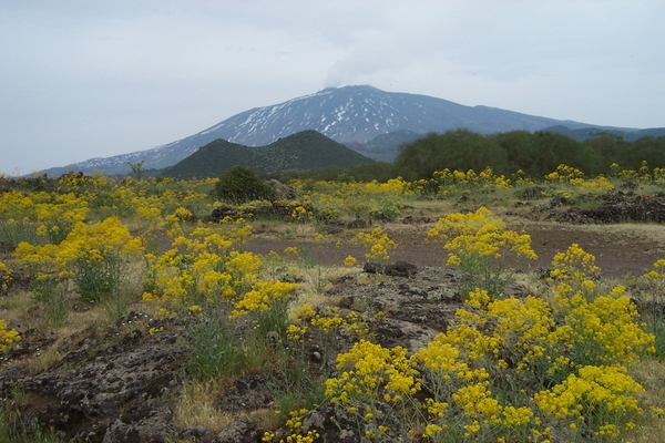 5 Etna _panorama