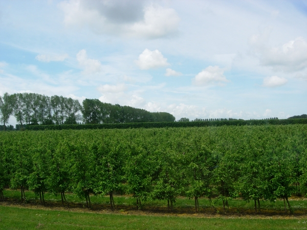 2006-05-28 goes treinen 025