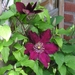 2006-05-28 goes treinen D 002