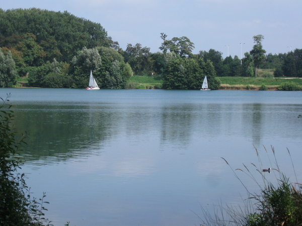 Eleghemvijver augustus '09 008