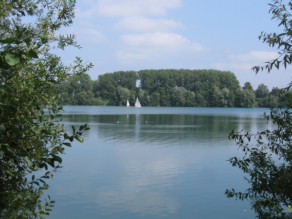 Eleghemvijver augustus '09 009