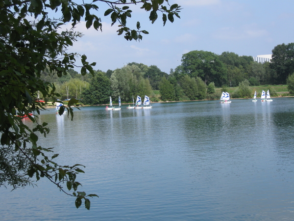 Eleghemvijver augustus '09 014