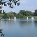Eleghemvijver augustus '09 015