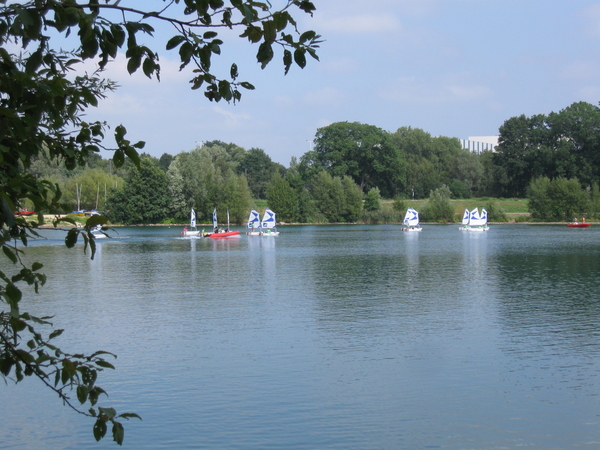 Eleghemvijver augustus '09 015