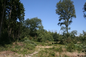 De Hulzenberg (snoer Jeus)
