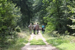 In het Bergherbos