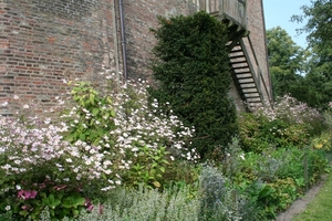 BLOEMENPRACHT