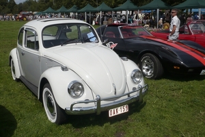 3de crijtrally 2009 048