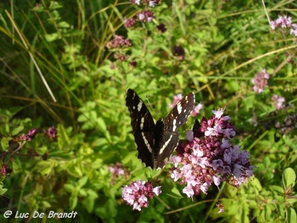 Ardennen wandeling Ermeton-sur-Biert