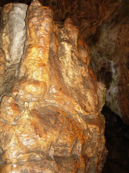Fromelennes grottes du Nichet