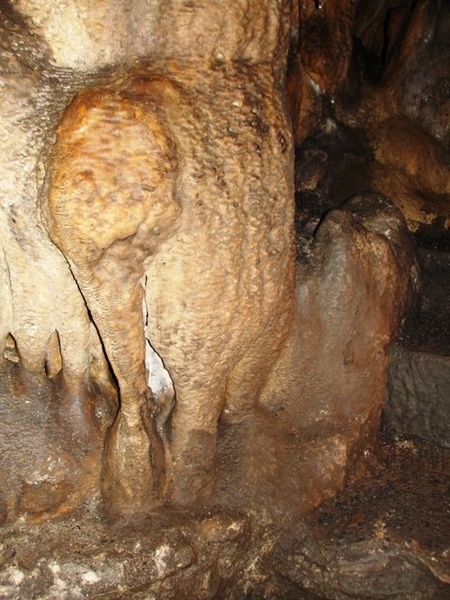 Fromelennes grottes du Nichet