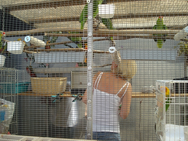 Folkloremarkt Marche en Famenne