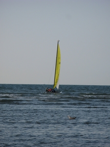 fotos aan zeeIMG_0031