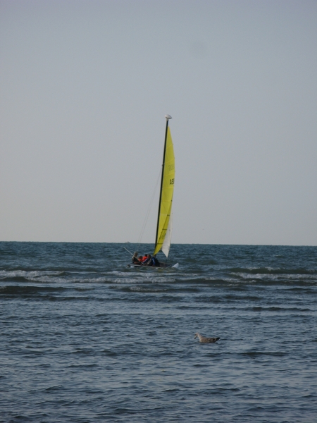 fotos aan zeeIMG_0031
