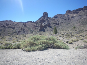 Parque Nacional del Teide