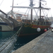 met de boot walvissen zoeken