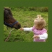 hanneke eerste rijles